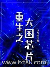 重生之大国芯片图片