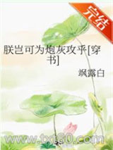 朕岂可为炮灰攻乎[穿书]图片