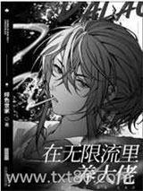在无限流里养大佬图片