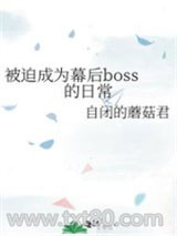 被迫成为幕后boss的日常图片