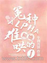 冤种Alpha和她难哄的O图片