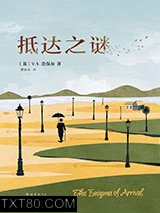 抵达之谜图片
