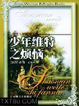 少年维特之烦恼图片