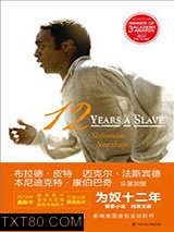 为奴十二年图片