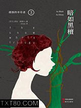 孤独的幸存者3：暗如黑檀图片