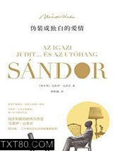 伪装成独白的爱情图片