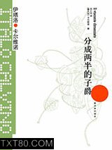 分成两半的子爵图片