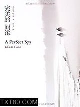 完美的间谍图片
