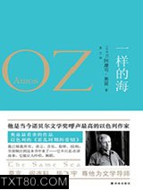 一样的海图片