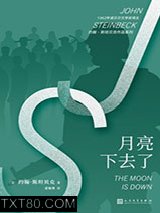 月亮下去了图片