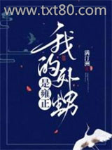 我的外甥是雍正图片