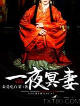 一夜冥妻图片