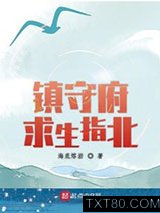 镇守府求生指北图片