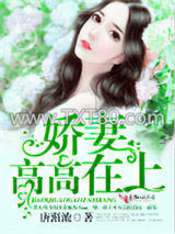 娇妻高高在上图片