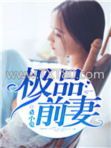 极品前妻图片