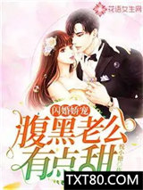 腹黑老公有点甜图片