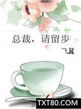总裁，请留步图片