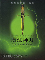 黑质三部曲2：魔法神刀图片