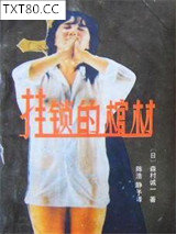 挂锁的棺材图片