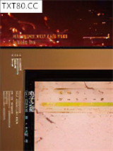 电子之星：池袋西口公园4图片