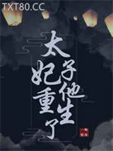 太子妃他重生了图片