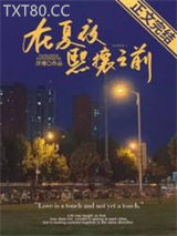 在夏夜熙攘之前图片