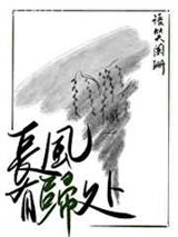 长风有归处图片