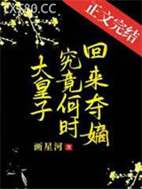 大皇子究竟何时夺嫡图片