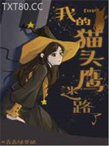 [HP]我的猫头鹰迷路了图片