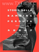 那不勒斯四部曲NO.4：失踪的孩子图片