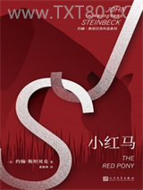 小红马图片
