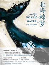 北海鲸梦图片