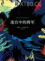 迷宫中的将军图片