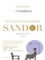 一个市民的自白图片