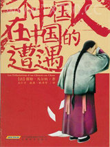 一个中国人在中国的遭遇图片