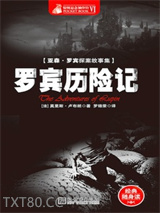 罗宾历险记图片