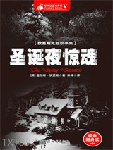 圣诞夜惊魂图片