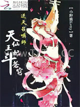 逆天召唤师：天仙王妃斗苍穹图片