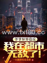爷爷异界造反，我在都市无敌了！图片