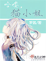 哈喽，猫小姐图片