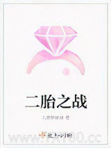 二胎之战图片