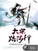 大宋踏莎行图片