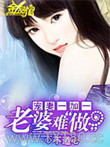 宠妻一加一：老婆难做图片