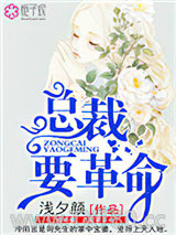 二婚娇妻，总裁要革命图片