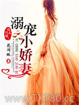 钻石闪婚之溺宠小娇妻图片