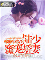 婚途漫漫：陆少蜜宠娇妻图片