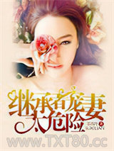 继承者宠妻太危险图片