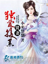 暖婚之贤妻至上图片