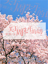 关于周先生的一切图片