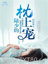 陆少的枕上宠图片